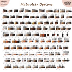 May include: A chart titled Male Hair Options displaying numerous rows of illustrated hairstyles in various colors and textures, each labeled with a unique alphanumeric code. The chart includes text notes about customizable colors and suitability for adults.