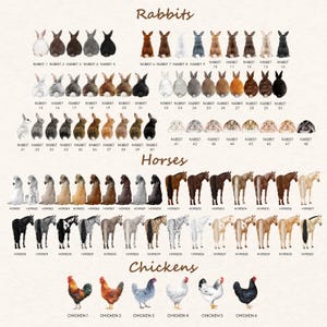 May include: A digital chart displaying various illustrations of animals categorized by species. The sections are labeled Rabbits, Horses, and Chickens. Each animal is numbered and shown in different colors, patterns, and poses, including back and side views.