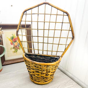 Peacock Wicker Wall Basket with Bamboo Trim