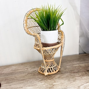 Può includere: Una piccola e decorativa sedia a pavone in rattan intrecciato. La sedia contiene un vaso in ceramica bianco e marrone pieno di erba verde. La sedia ha uno schienale rotondo e un design intrecciato decorativo.