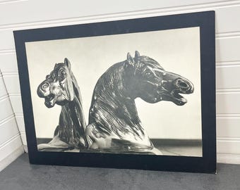 Vintage Horse Photograph: Large Matte Black Cardstock Print