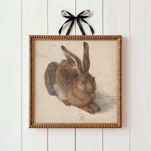 Puede incluir: Obra de arte enmarcada que presenta un dibujo detallado de una liebre marrón con orejas largas. La obra de arte está en un marco dorado con cuentas y está suspendida por una cinta negra. La liebre se representa en una pose relajada.