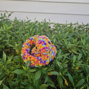 May include: A colorful, crocheted snake toy in shades of orange, yellow, blue, and purple. The plush snake is coiled and has small black eyes. The toy is set against a backdrop of green foliage and a white wall.