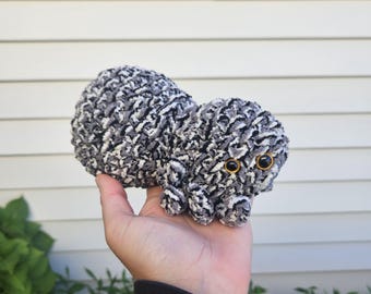 May include: A gray and white crocheted spider plush toy with black eyes. The spider is sitting on a hand.
