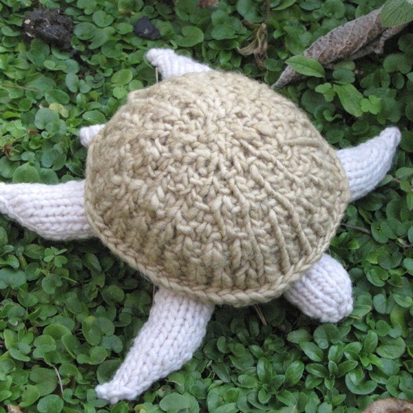 Modèle de tricot de tortue, (PDF) Téléchargement numérique instantané
