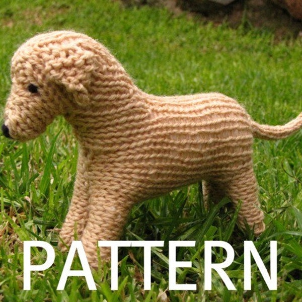 Modèle de tricot pour chien Labrador (PDF)