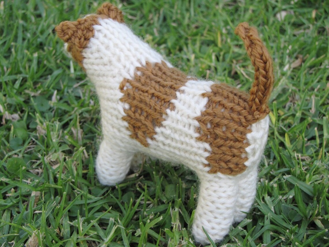 Jack Russell Dog Knitting Pattern PDF Etsy