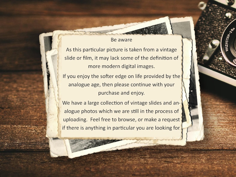 Retro Nude Women in Sea Photo, Digital Download Printable, Original