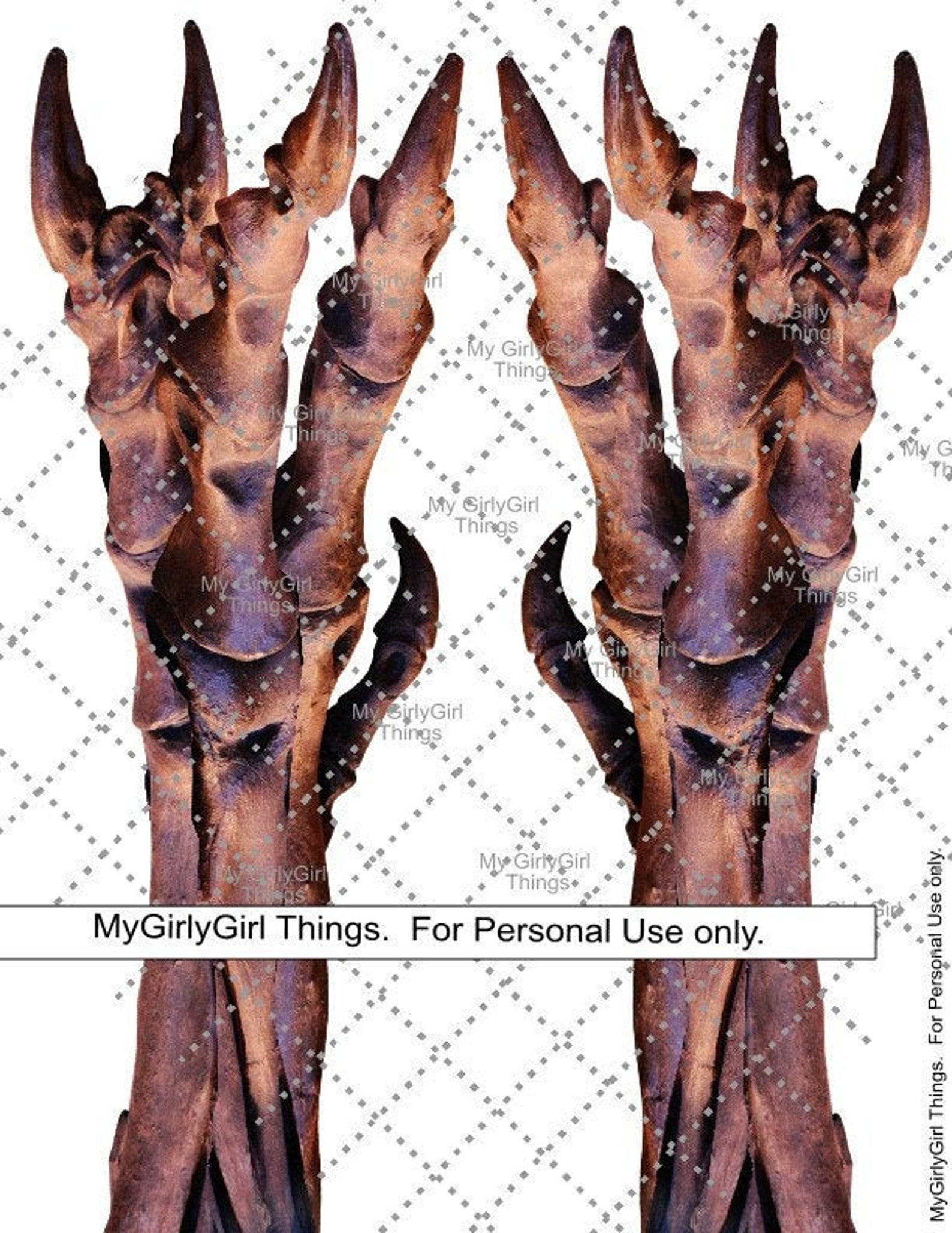 pterodactyl feet