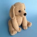 see more listings in the Baby Animals section