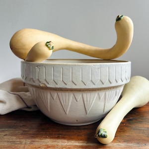 May include: A large, off-white ceramic mixing bowl with a textured, geometric pattern around the rim. Two pale yellow, curved squash with small green stems are positioned with one resting inside the bowl and the other lying beside it.