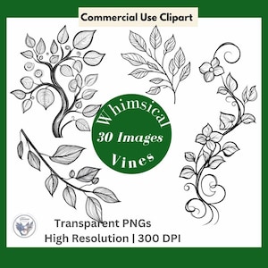 Puede incluir: Dibujos lineales en blanco y negro de varios diseños de vides y hojas. La imagen incluye el texto "Commercial Use Clipart", "Whimsical 30 Images Vines", "Transparent PNGs" y "High Resolution | 300 DPI".