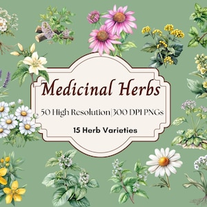 Puede incluir: Una colección de 50 imágenes PNG de alta resolución de 300 DPI de 15 hierbas medicinales diferentes. Las imágenes presentan ilustraciones de acuarela de varias hierbas, incluyendo lavanda, manzanilla y equinácea.