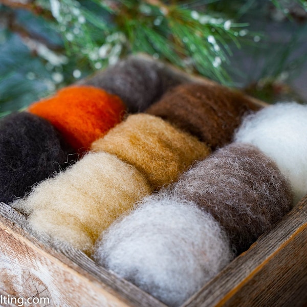 Natural Colors Wool Sampler for Needle Felting -  Premium Needle Felting Wool - Raised in America