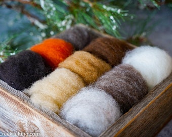 Natural Colors Wool Sampler for Needle Felting -  Premium Needle Felting Wool - Raised in America