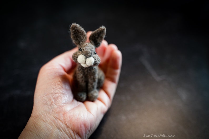 Rabbit Felting Kit Needle Felting Kit DIY Kit Craft Kit Felting Supplies DIY Craft Kit Starter Kit Needle Felted Beginner image 1