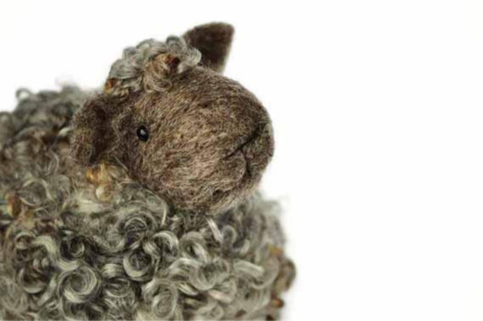 Black Sheep Felting Kit Needle Felting Kit DIY Kit Craft Etsy