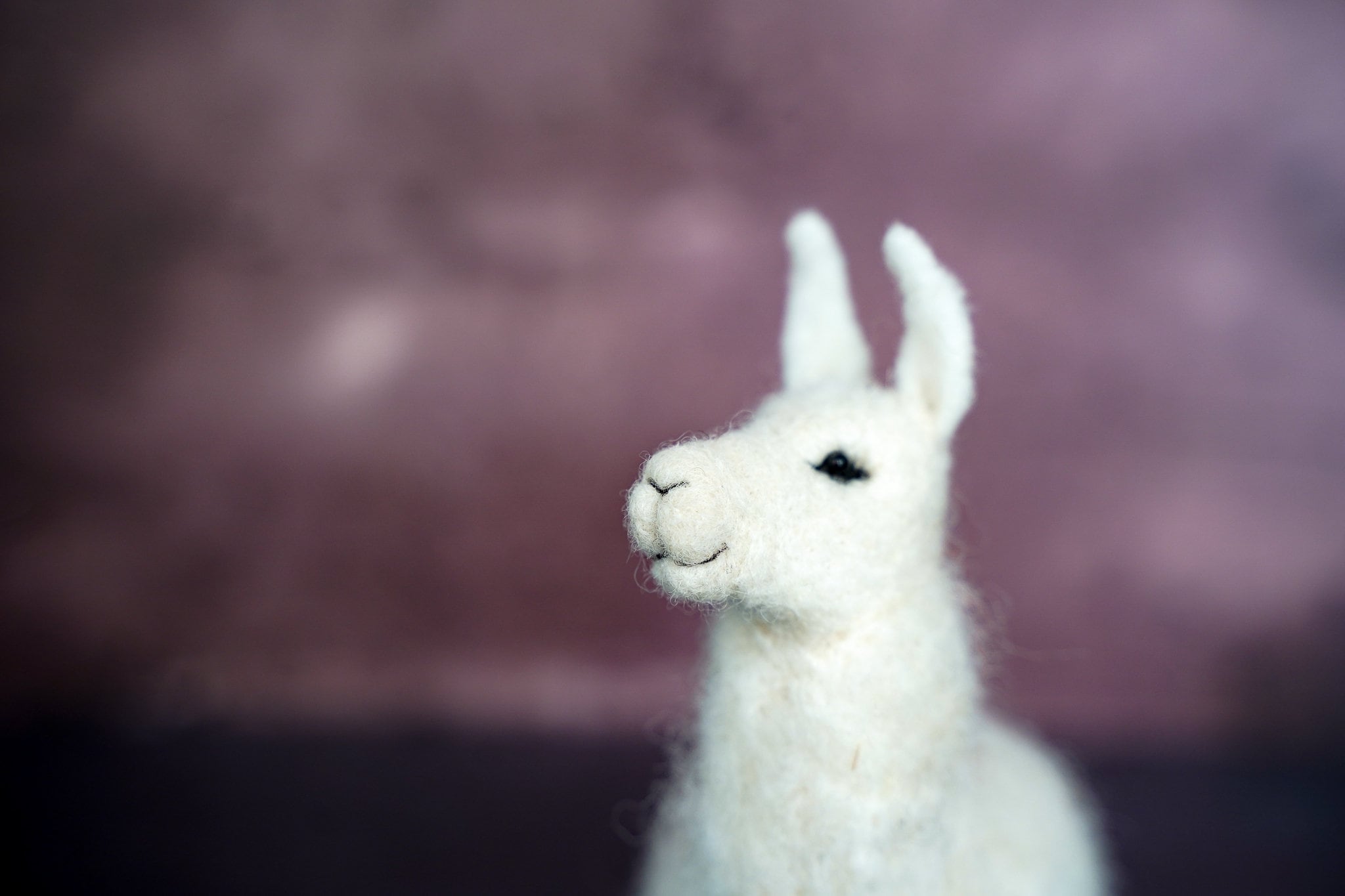 Llama Felting Kit Needle Felting Kit DIY Kit Craft Kit Etsy