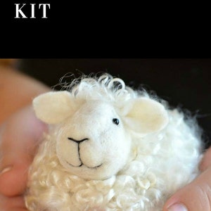 Sheep Felting Kit Needle Felting Kit DIY Kit Craft Kit Felting Supplies DIY Craft Kit Starter Kit Needle Felted Beginner image 6