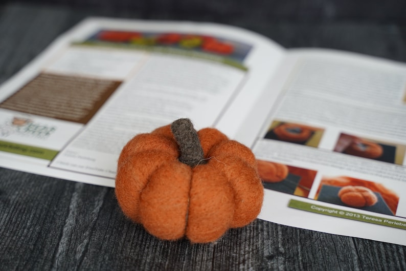 Pumpkin Needle Felting Kit Thanksgiving Kit Beginner DIY Craft Kit DIY Kit Starter Kit Thanksgiving Decor Best Felting Wool No needles & cushion