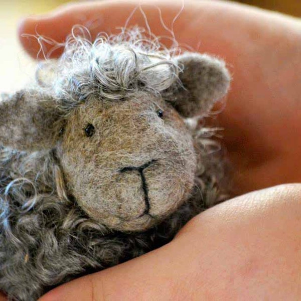 Black Sheep Needle Felting Starter Kit: DIY Craft for Beginners