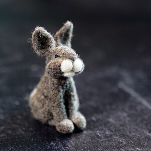 Rabbit Felting Kit Needle Felting Kit DIY Kit Craft Kit Felting Supplies DIY Craft Kit Starter Kit Needle Felted Beginner image 5