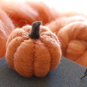 Pumpkin Needle Felting Kit Thanksgiving Kit Beginner DIY Craft Kit DIY Kit Starter Kit Thanksgiving Decor Best Felting Wool image 1