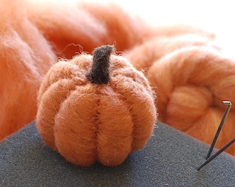 Pumpkin Needle Felting Kit - Thanksgiving Kit - Beginner - DIY Craft Kit - DIY Kit - Starter Kit - Thanksgiving Decor - Best Felting Wool