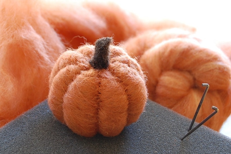 Pumpkin Needle Felting Kit Thanksgiving Kit Beginner DIY Craft Kit DIY Kit Starter Kit Thanksgiving Decor Best Felting Wool image 1