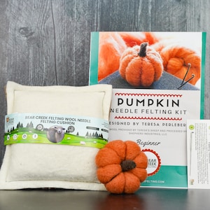 Pumpkin Needle Felting Kit Thanksgiving Kit Beginner DIY Craft Kit DIY Kit Starter Kit Thanksgiving Decor Best Felting Wool Kit W/Wool Cushion