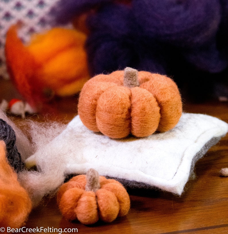 Pumpkin Needle Felting Kit Thanksgiving Kit Beginner DIY Craft Kit DIY Kit Starter Kit Thanksgiving Decor Best Felting Wool image 3