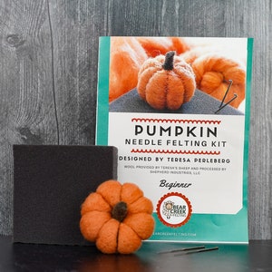 Pumpkin Needle Felting Kit Thanksgiving Kit Beginner DIY Craft Kit DIY Kit Starter Kit Thanksgiving Decor Best Felting Wool Complete kit