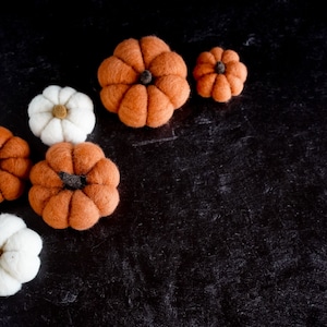 Pumpkin Needle Felting Kit Thanksgiving Kit Beginner DIY Craft Kit DIY Kit Starter Kit Thanksgiving Decor Best Felting Wool image 7