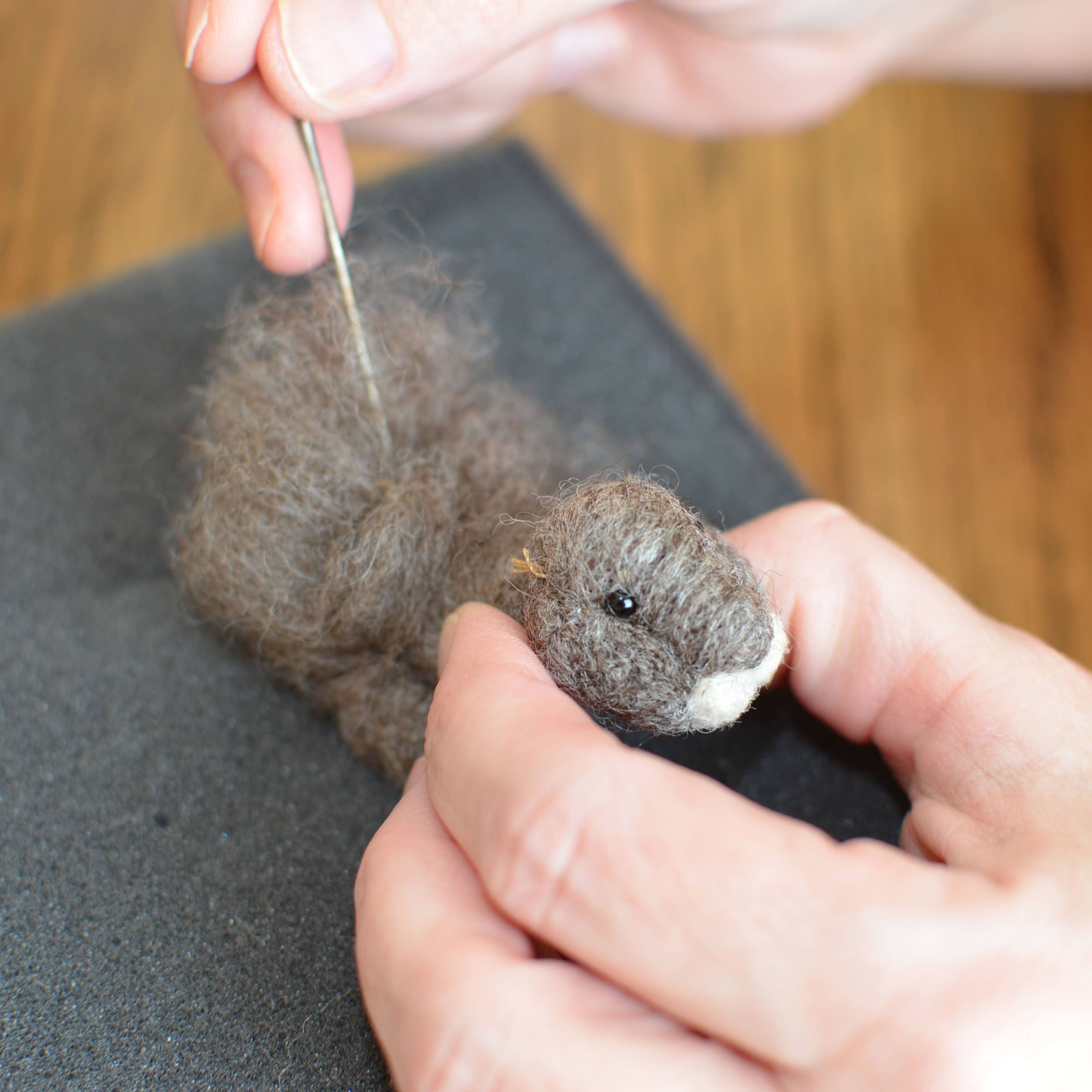 Rabbit Felting Kit Needle Felting Kit DIY Kit Craft Kit Etsy