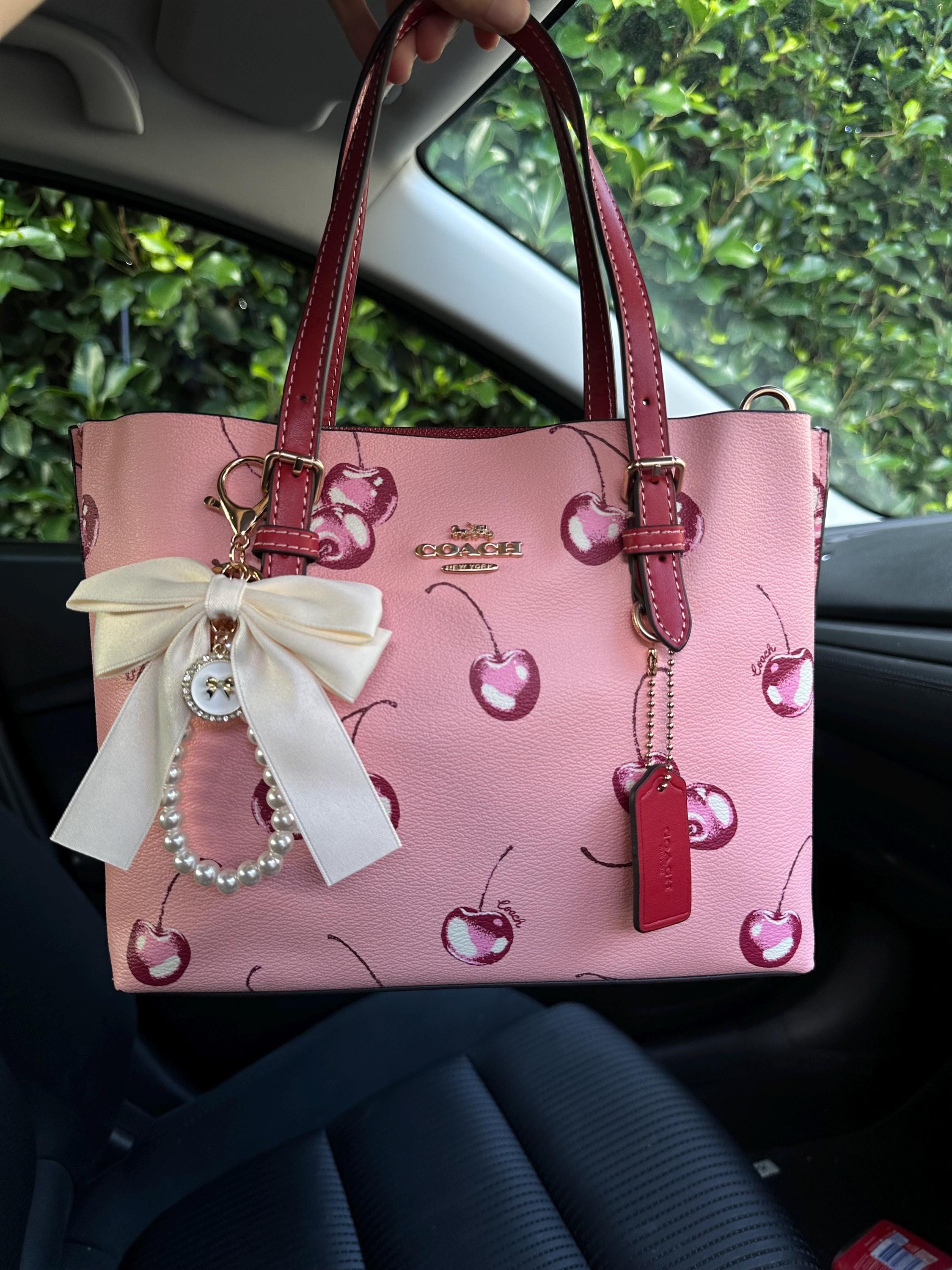Coach Bag Y2k - Etsy