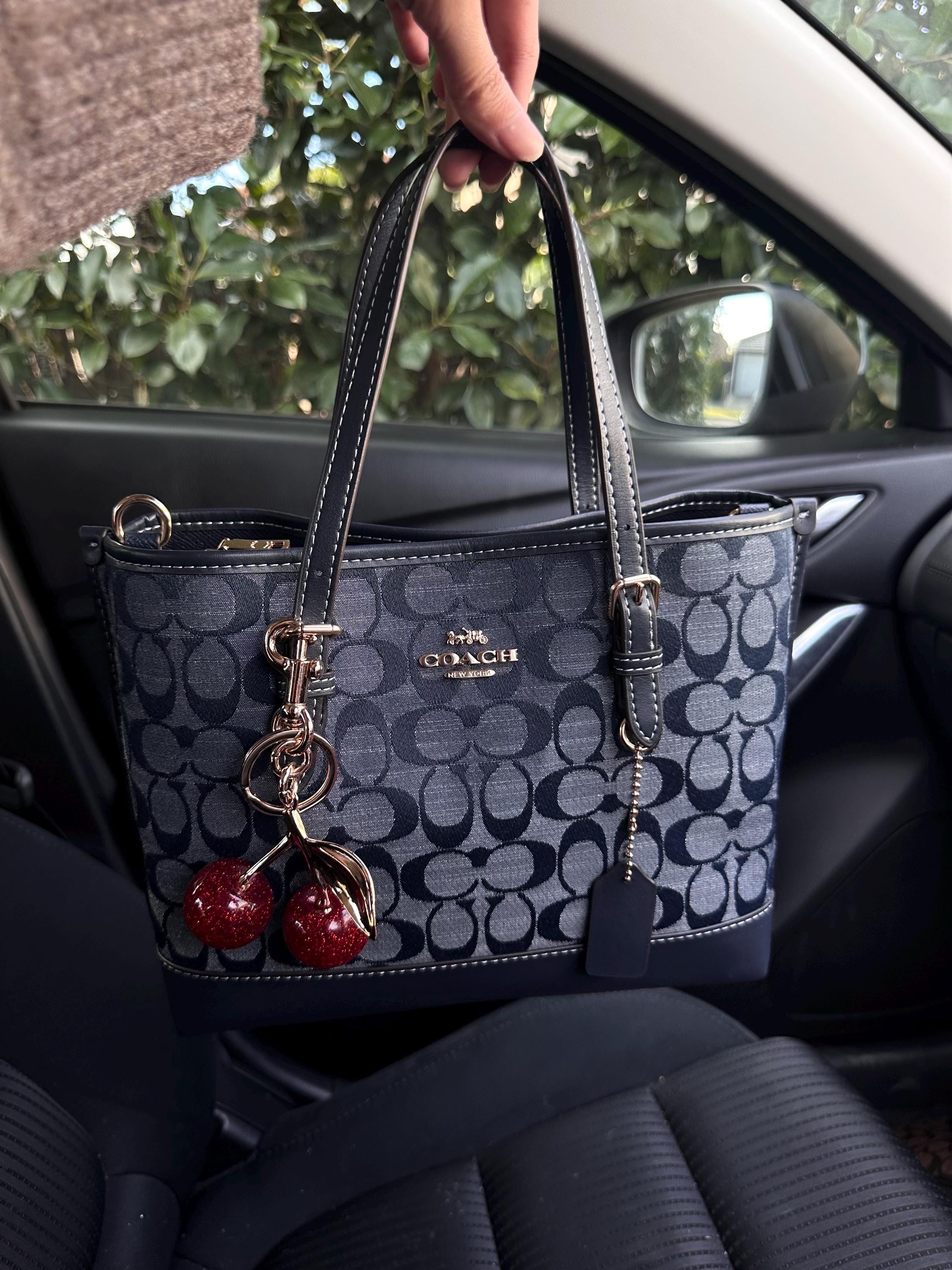 Claudio Ferrici Bag Australia