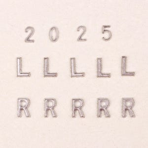 Letras de plomo R y L, letras de plomo al por mayor, ahora al por mayor: paquetes de 10, letras de plomo con marcador de rayos X para bricolaje, para aficionados al bricolaje