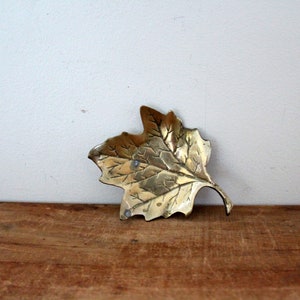 May include: A brass leaf-shaped dish with detailed veining. The dish is a warm gold color and sits on a wooden surface. The leaf design is a decorative accent for a home.