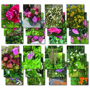 Bloemen in Frankrijk 2024. Een compilatie van foto's van onze reis van Clermont-Ferrand naar Bordeaux. 24 individuele kaarten, gevouwen tot 5 x 7.