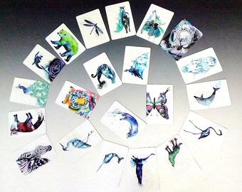 Cosmic Animal Cards, Mystery Pack of 12, Limited Edition