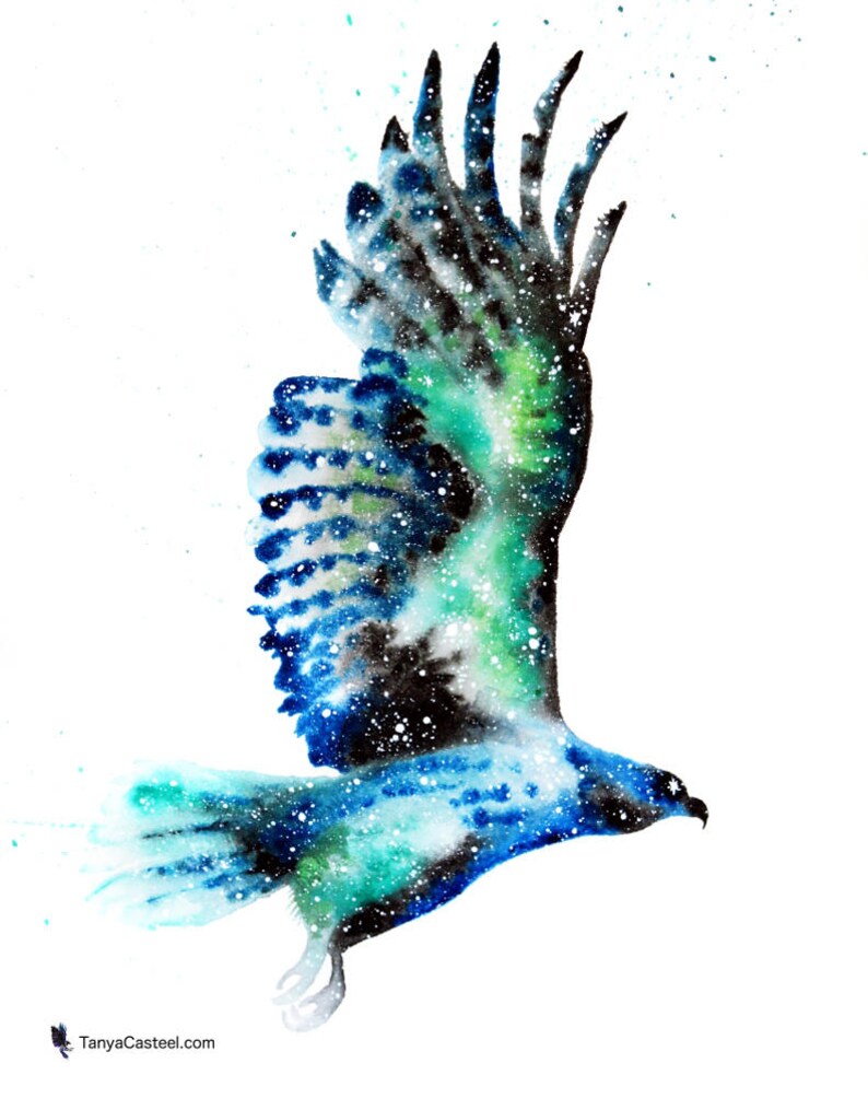 Cosmic Hawk Art Print, Watercolor 8x10 image 2