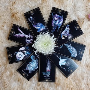 May include: A collection of black tarot cards with celestial animal illustrations, arranged around a white chrysanthemum. The cards feature images of a rabbit, bull, and other creatures. The arrangement is set on a fluffy, cream-colored surface, with flowers on the sides.