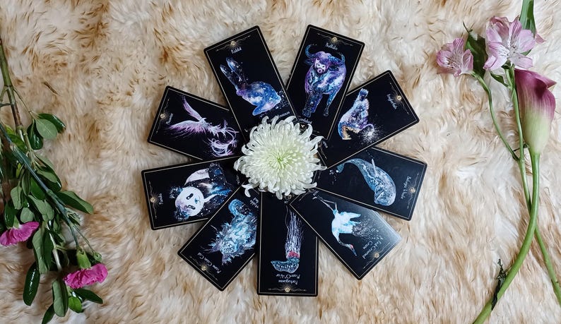 May include: A collection of black tarot cards with celestial animal illustrations, arranged around a white chrysanthemum. The cards feature images of a rabbit, bull, and other creatures. The arrangement is set on a fluffy, cream-colored surface, with flowers on the sides.