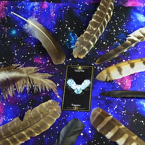 May include: An arrangement of various feathers in shades of brown, white, and black, surrounding a card with a blue owl illustration and the words "Twany Owl" and "Perspective". The background is a starry, galaxy-themed fabric.