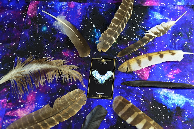May include: An arrangement of various feathers in shades of brown, white, and black, surrounding a card with a blue owl illustration and the words "Twany Owl" and "Perspective". The background is a starry, galaxy-themed fabric.