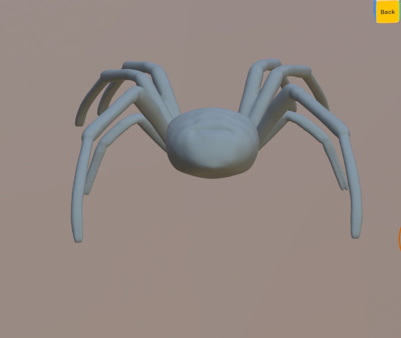 Realistic Spider with Thick Legs STL Digital File for 3D Printing image 4