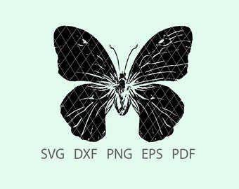 Butterfly 22 SVG, Clipart, Cricut