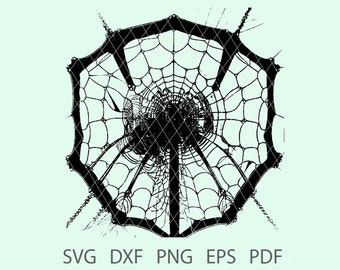 Spiderweb 11 SVG, Clipart, Cricut