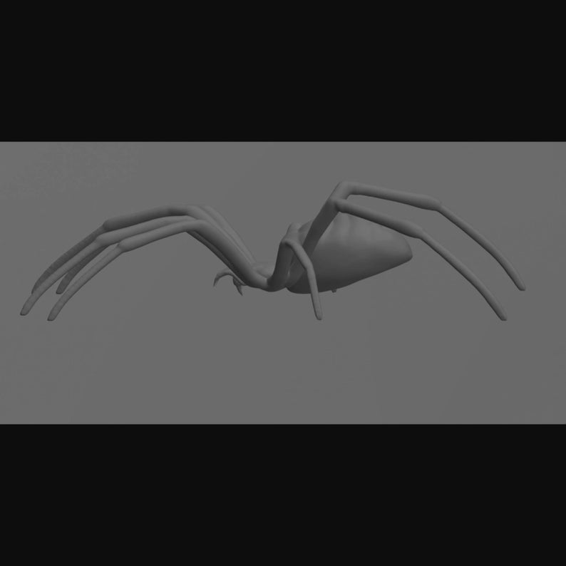 Realistic Spider with Thick Legs STL Digital File for 3D Printing image 3