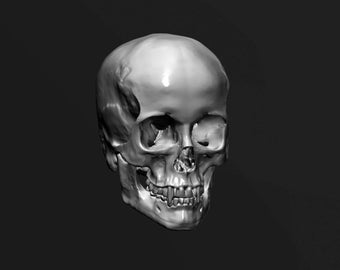 Skull Fangs STL Digital File for 3D Printing